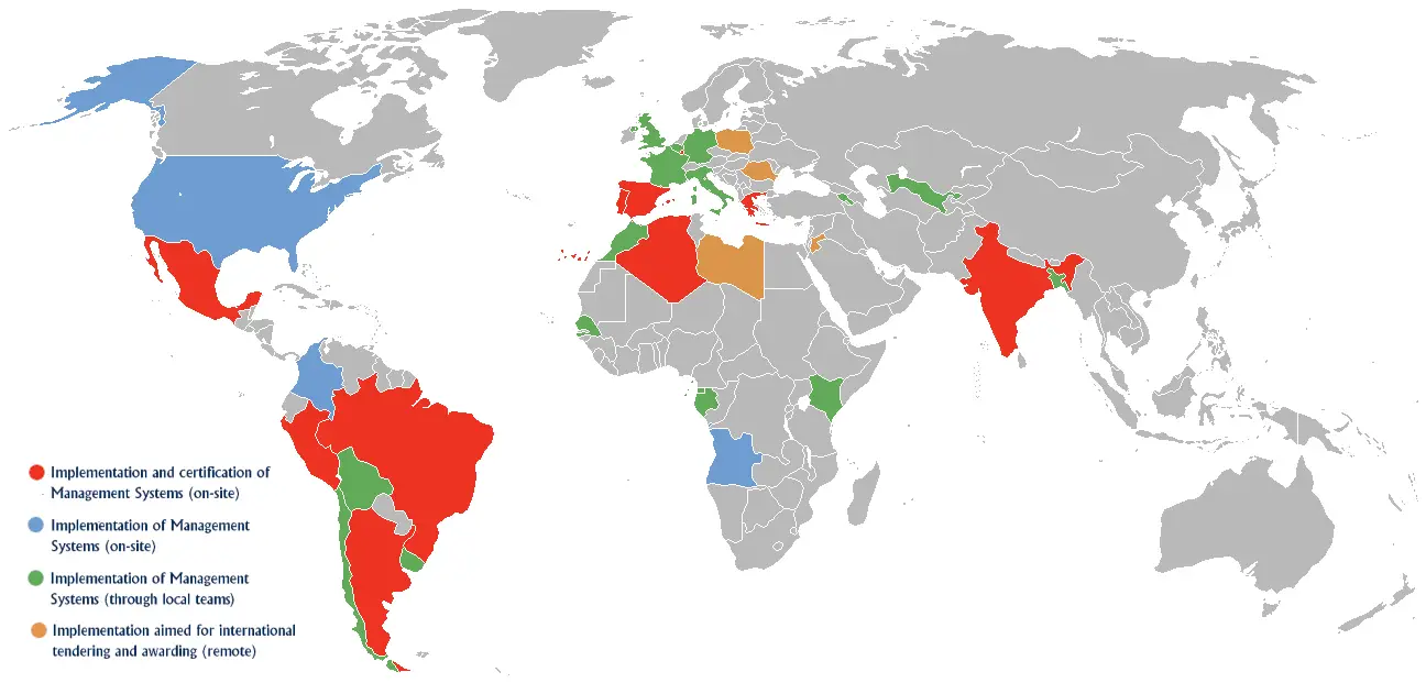 International experience