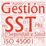 Seguridad y Salud en el Trabajo